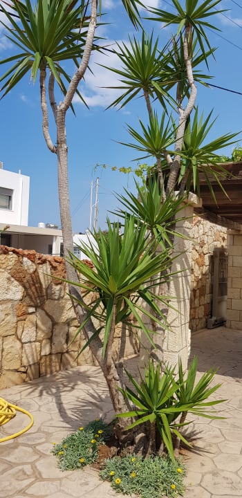 Außenansicht Cactus Beach