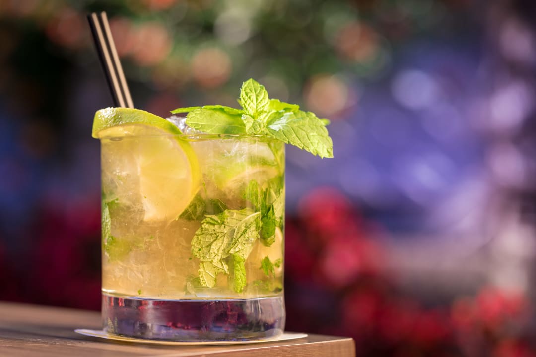 Gastro htop Planamar