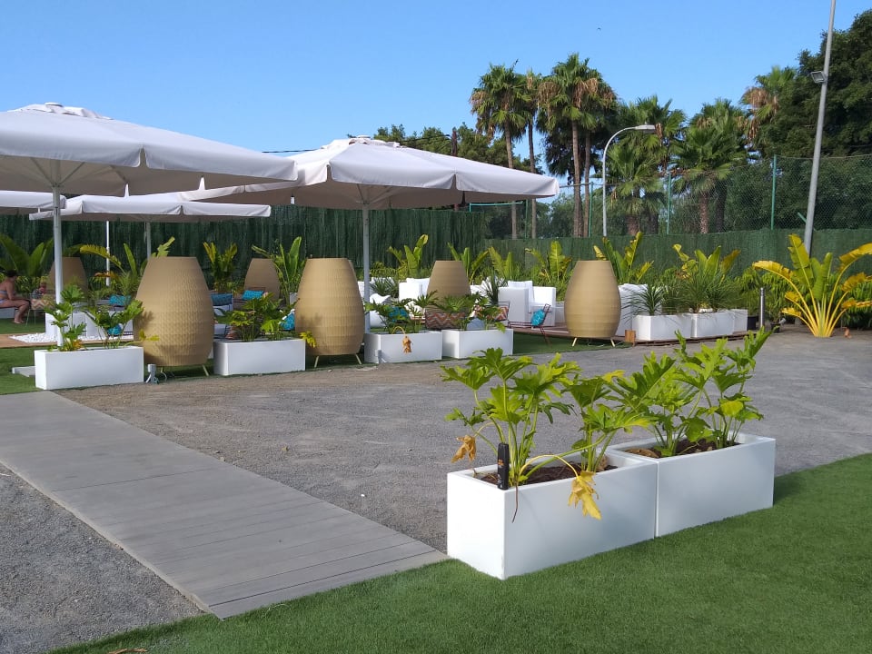 Gartenanlage Canary Garden Club