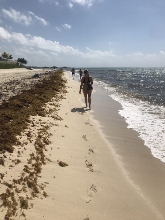 Strand Viva Azteca by Wyndham - All Inclusive Resort