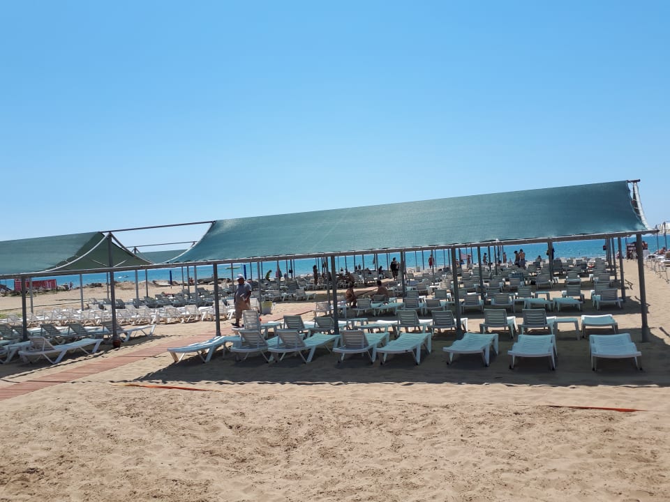 Strand Palm World Side Resort & Spa