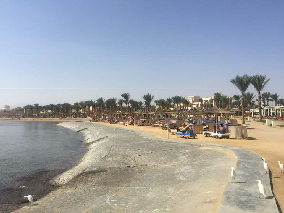 Strand Beach Albatros Resort