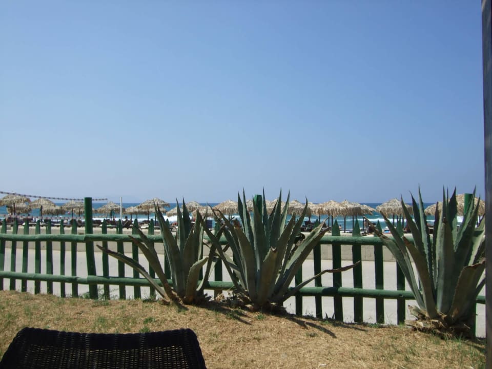 Von der Strandbar Bella Beach Hotel
