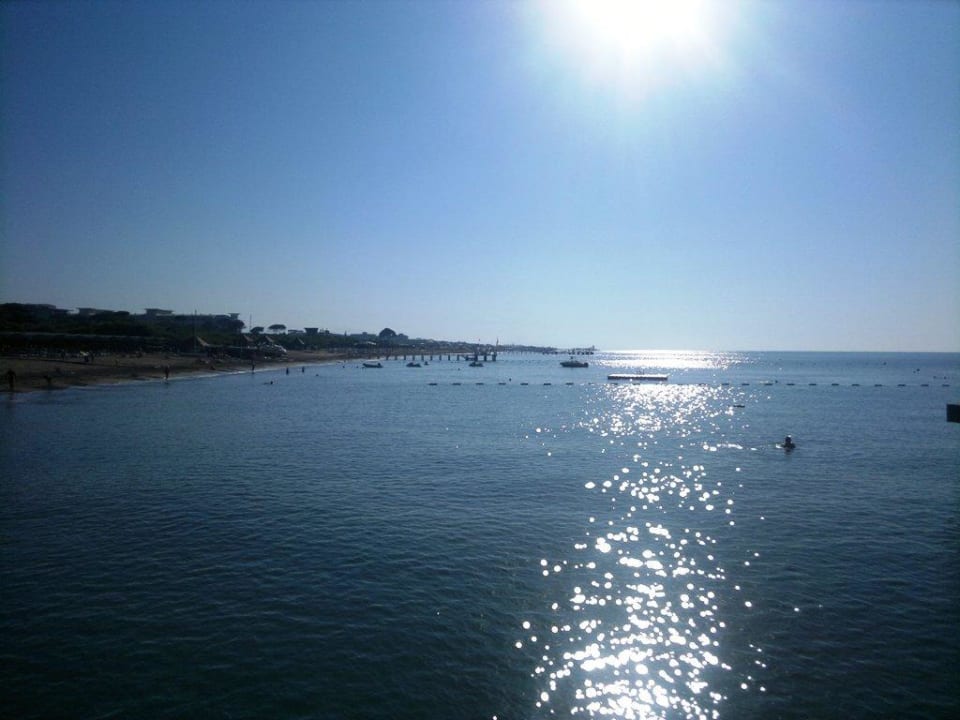 Klídeček na hladině Papillon Zeugma Relaxury