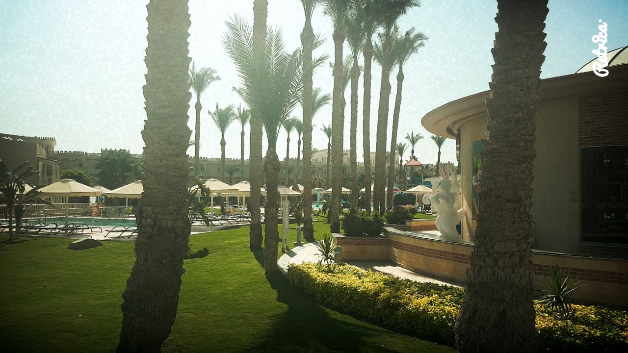 Pool Beach Albatros Resort