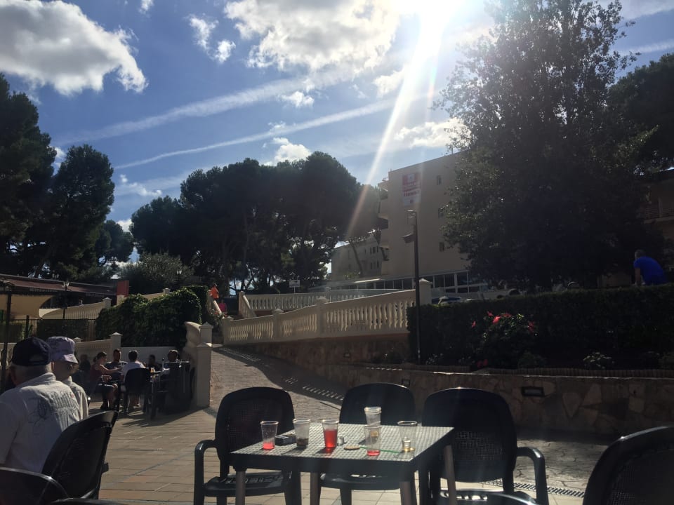 Gartenanlage MLL Palma Bay Club Resort