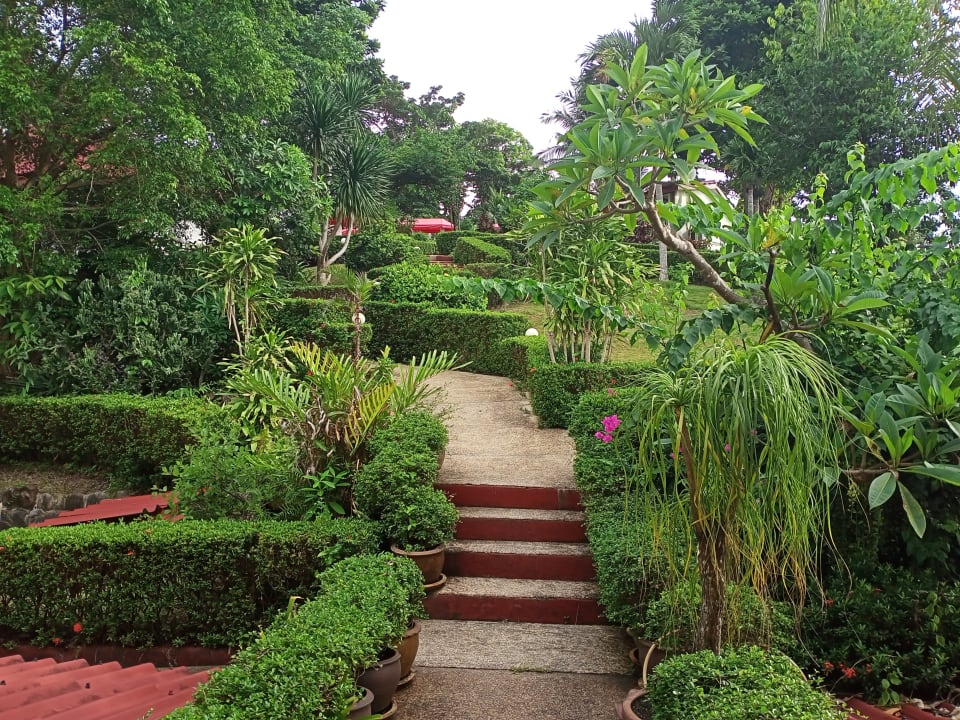 Gartenanlage Hotel Top Resort