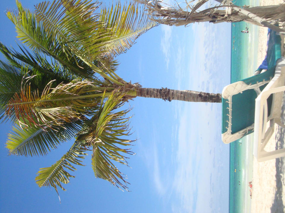 Hotel Catalonia Playa Maroma Catalonia Playa Maroma