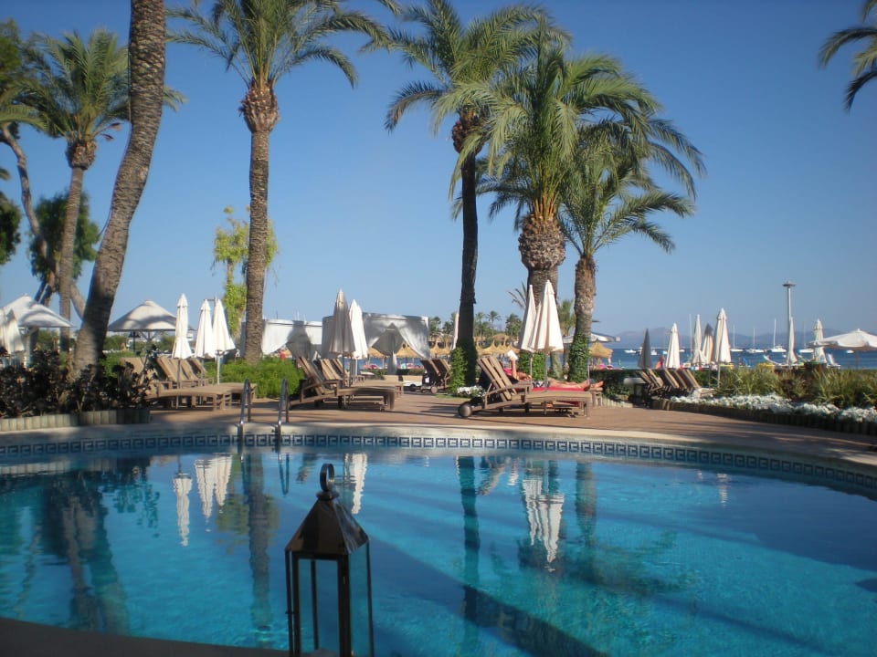 Früher Abend VIVA Golf - Adults only 18+