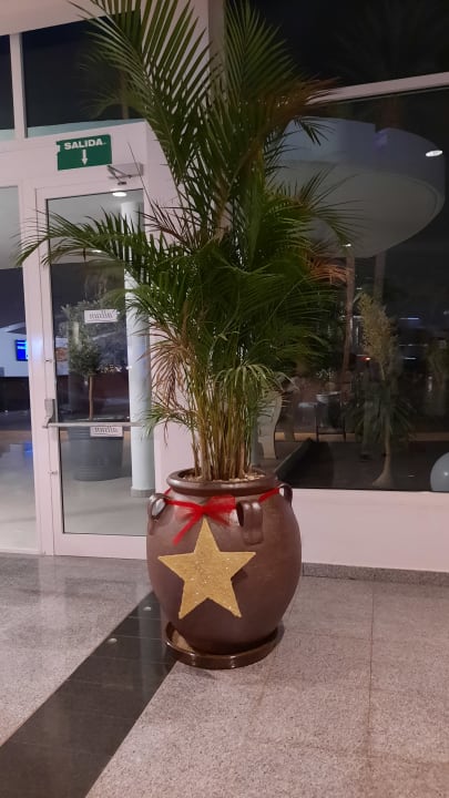 Lobby allsun App.-Hotel Esquinzo Beach