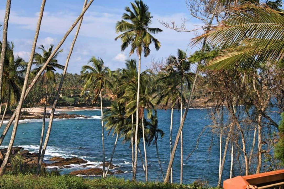 Blick aus dem Zimmer  Villa Lucky Star