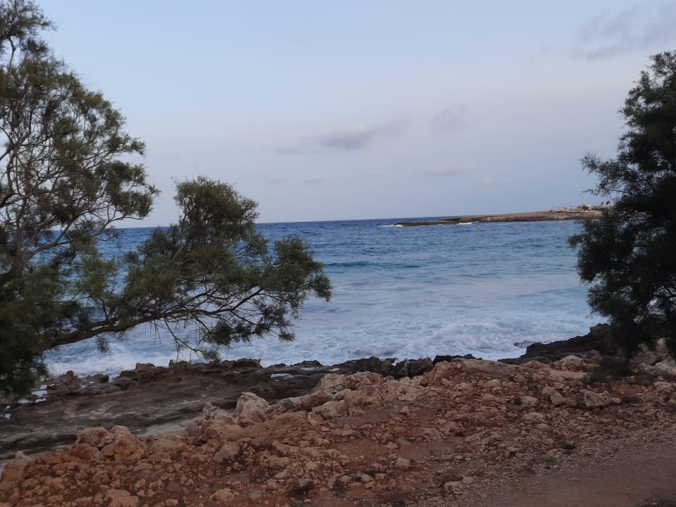 Sonstiges Aparthotel Playa Dorada