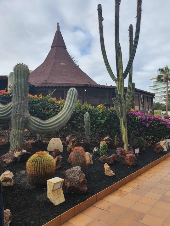 Gartenanlage IFA Altamarena by Lopesan Hotels