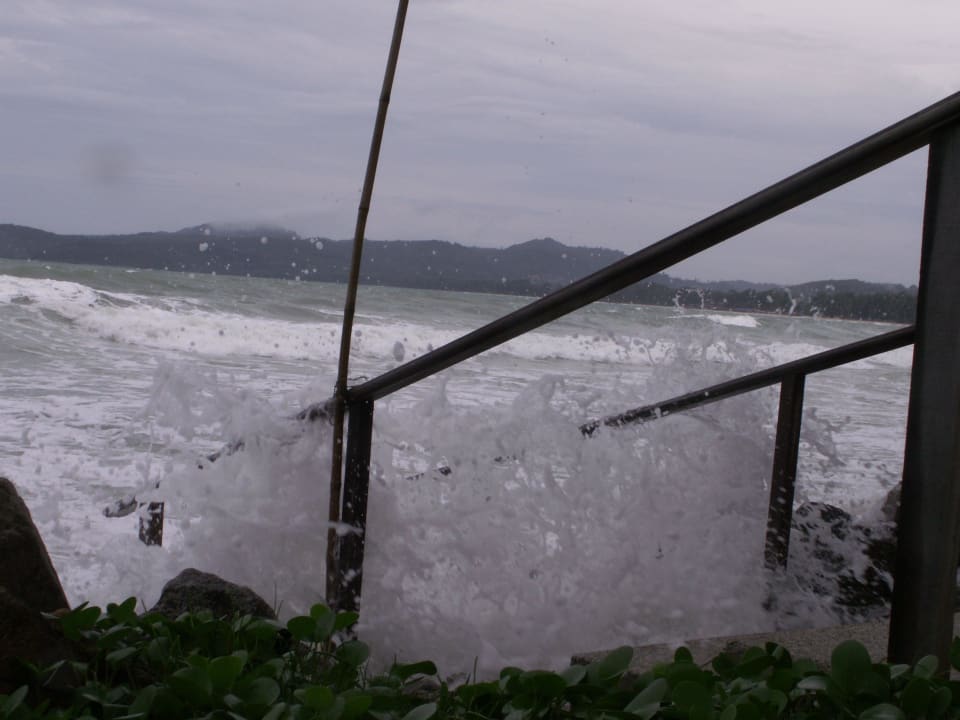 Flut Best Western Premier Bangtao Beach Resort & Spa