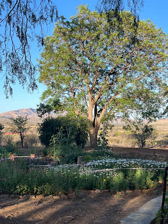 Gartenanlage Krumhuk Guestfarm