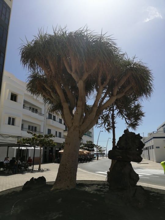 Sonstiges Hipotels La Geria