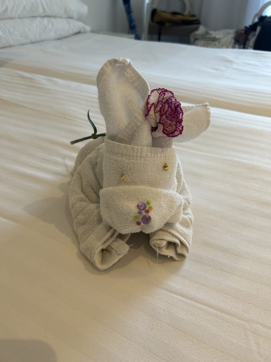 Zimmer Son Moll Sentits Hotel & Spa