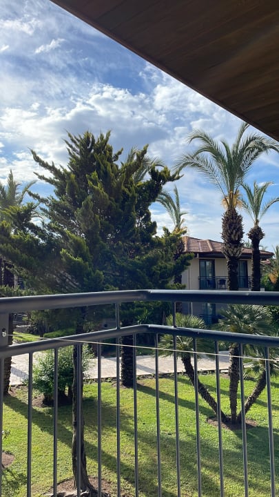 Ausblick TUI BLUE Palm Garden