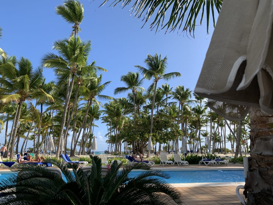 Gartenanlage Hotel Riu Palace Macao - Adults only