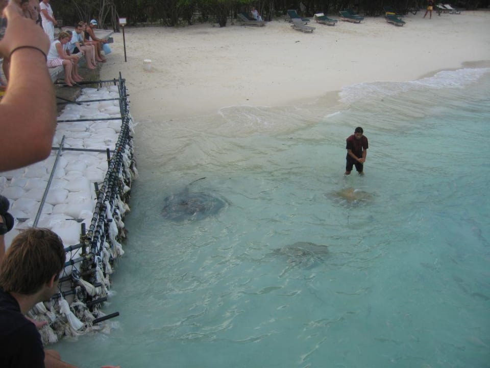 Sandsäcke weit und breit NH Collection Maldives Reethi Resort