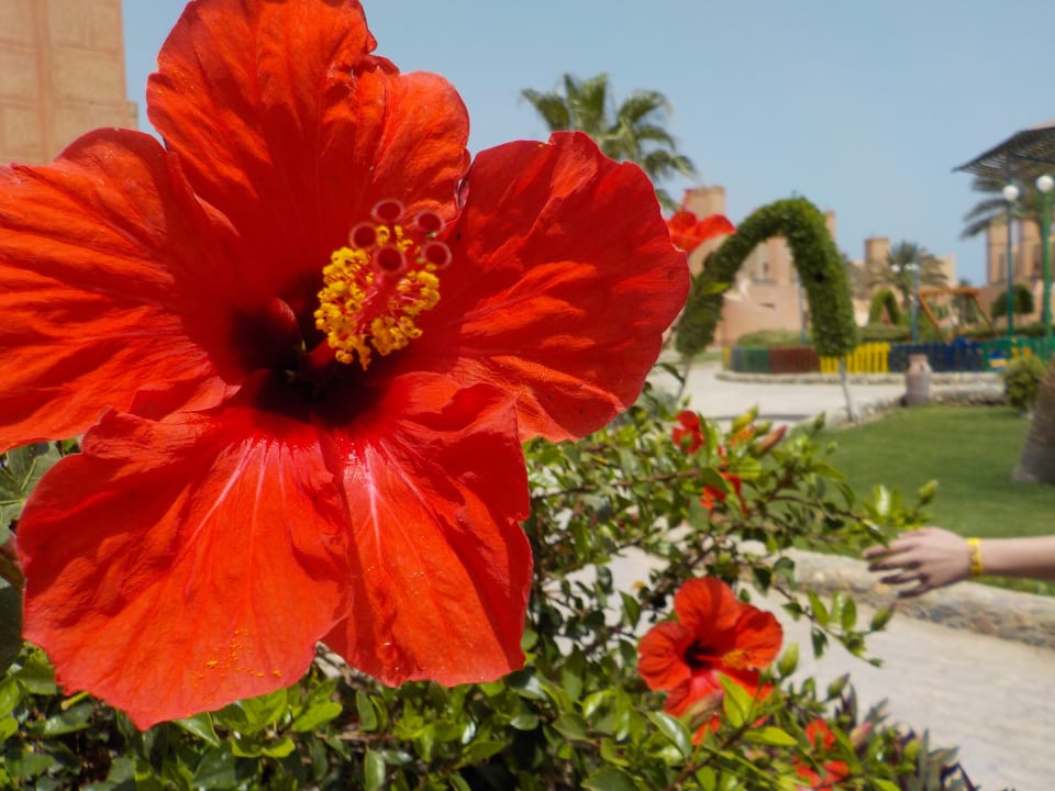 Gartenanlage Sentido Akassia Beach