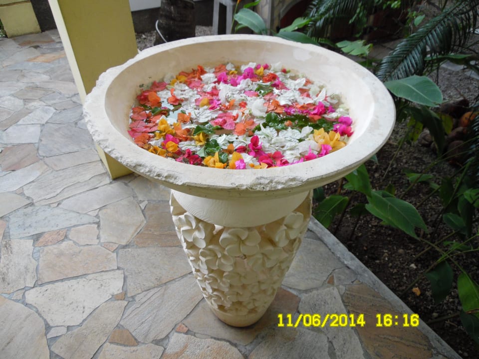 Herrliche Dekoration Villa Seewoo