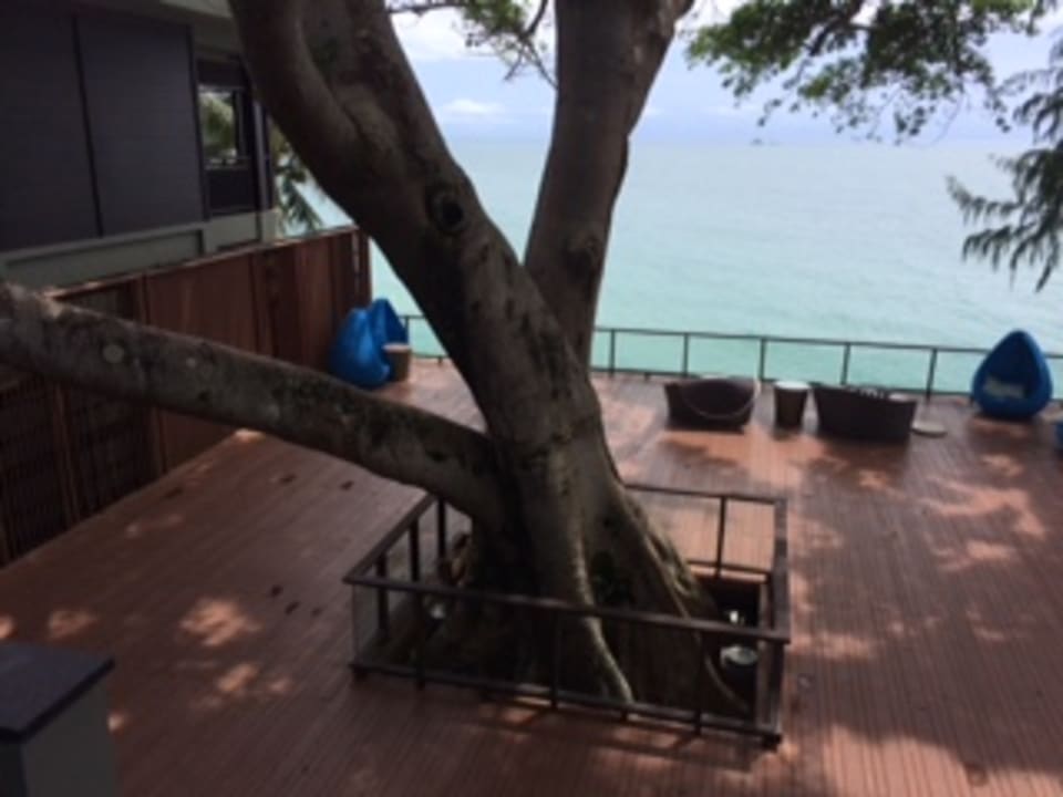 Gartenanlage Pullman Phuket Arcadia Naithon Beach