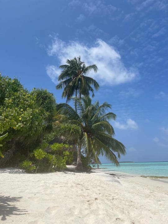 Strand NH Collection Maldives Havodda Resort