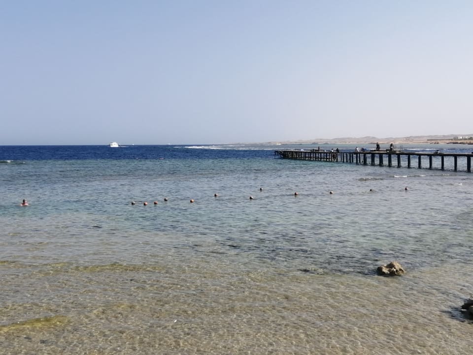 Strand Pickalbatros Palace Hotel-Port Ghalib