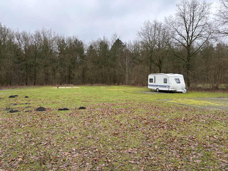 Gartenanlage Roompot Bospark Lunsbergen