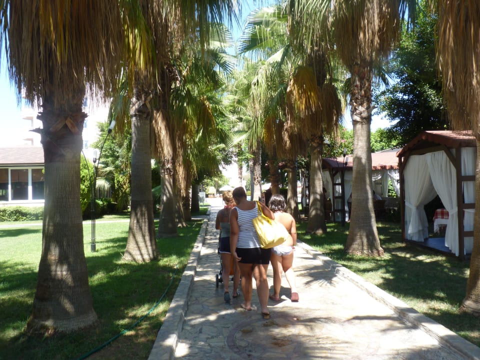 Zur Poolanlage Hotel Royal Garden Beach