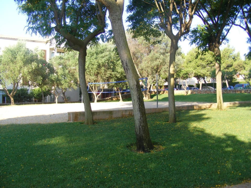 Vollyball Protur Floriana Resort Aparthotel