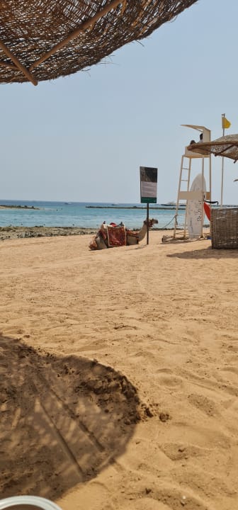 Strand Jaz Makadi Saraya Resort