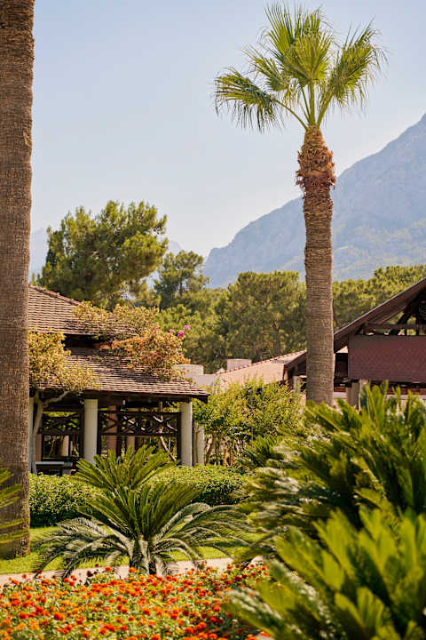 Gartenanlage Club Med Palmiye
