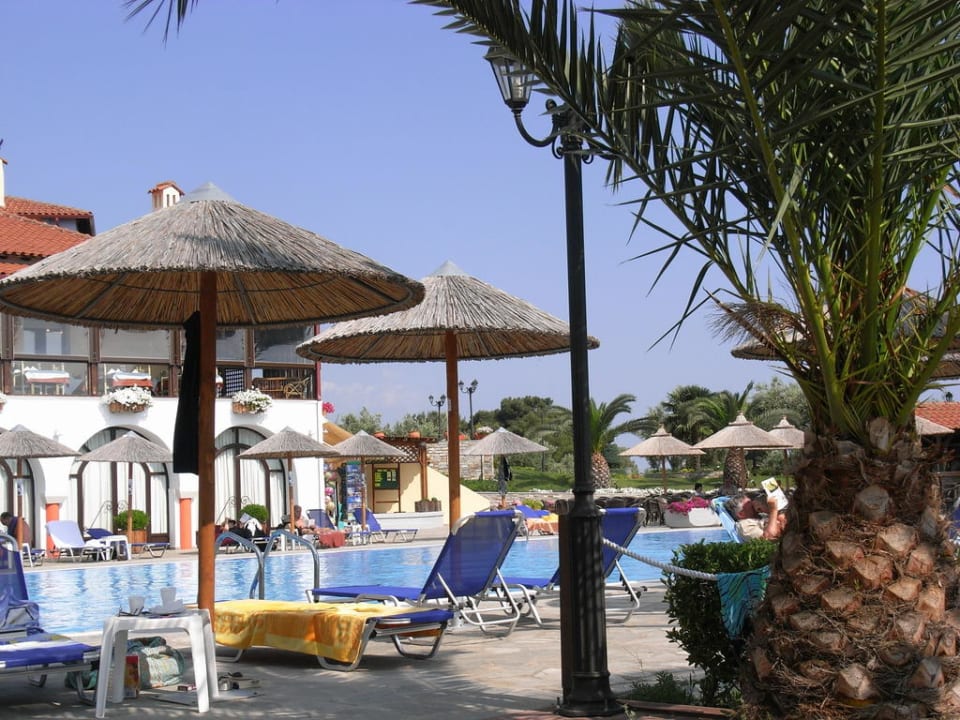 Poolliegen Blue Dolphin Resort Hotel