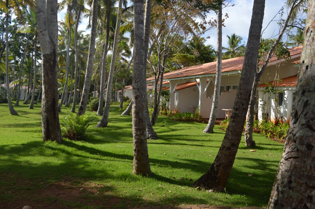 Gartenanlage Wyndham Alltra Samana