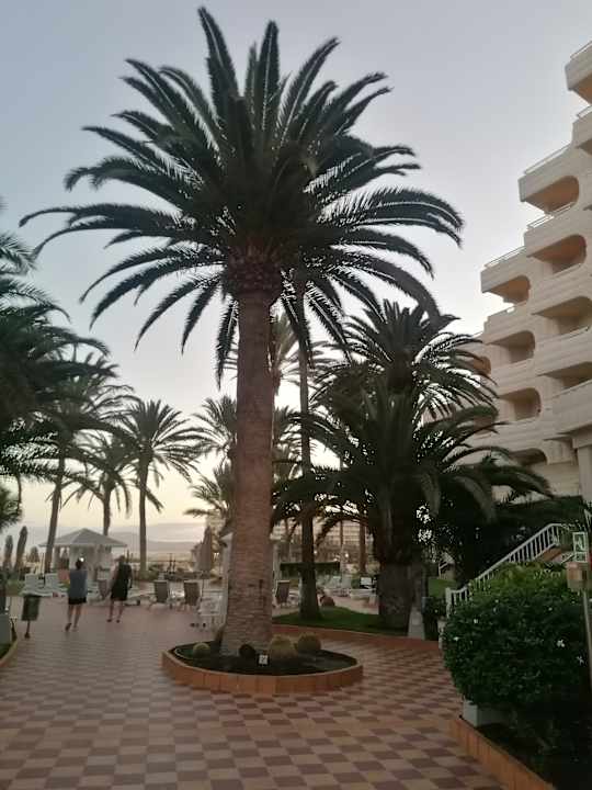 Ausblick Hotel Riu Palace Tres Islas