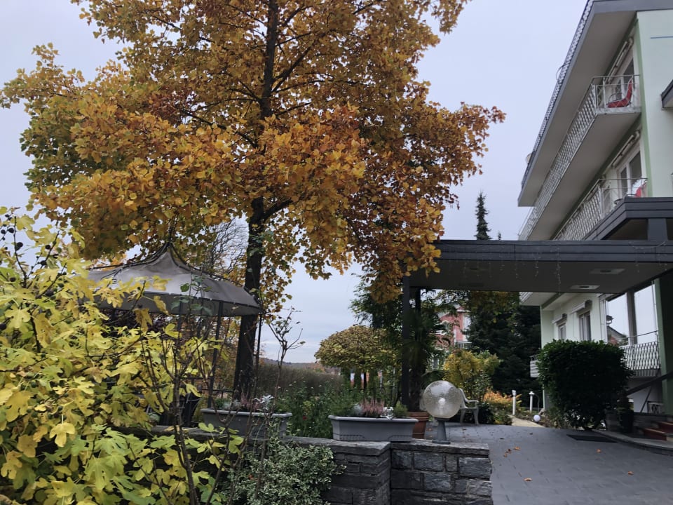 Außenansicht Balance-Hotel am Blauenwald