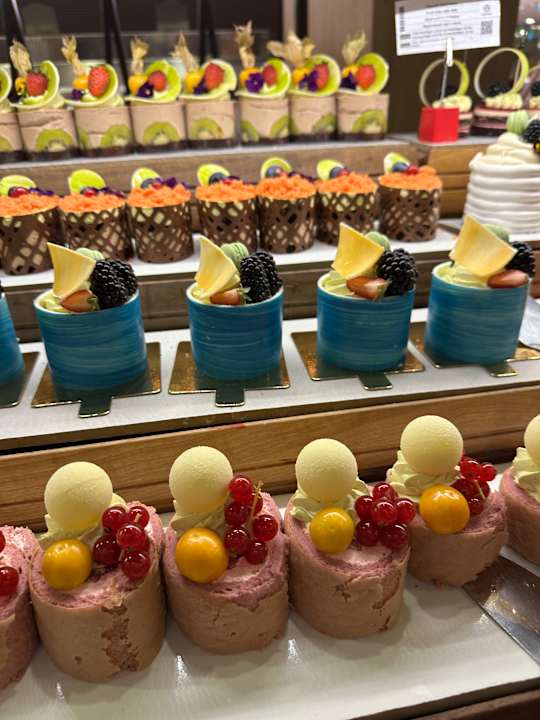 Gastro Delphin BE Grand