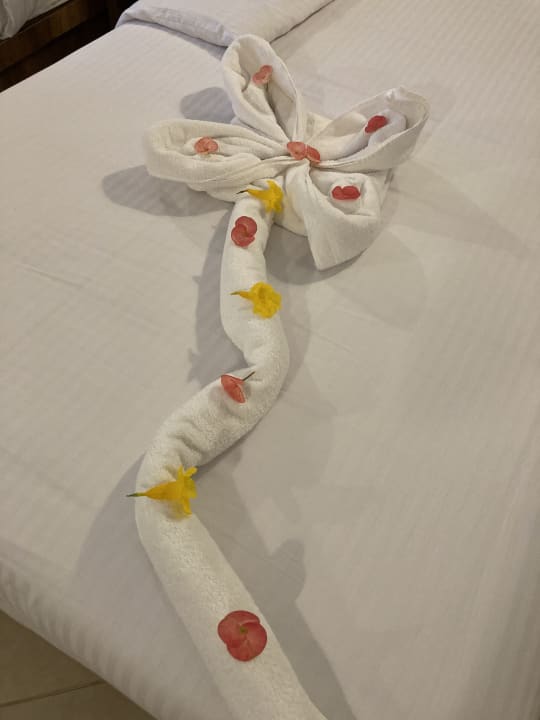 Zimmer Lazuli Hotel Marsa Alam