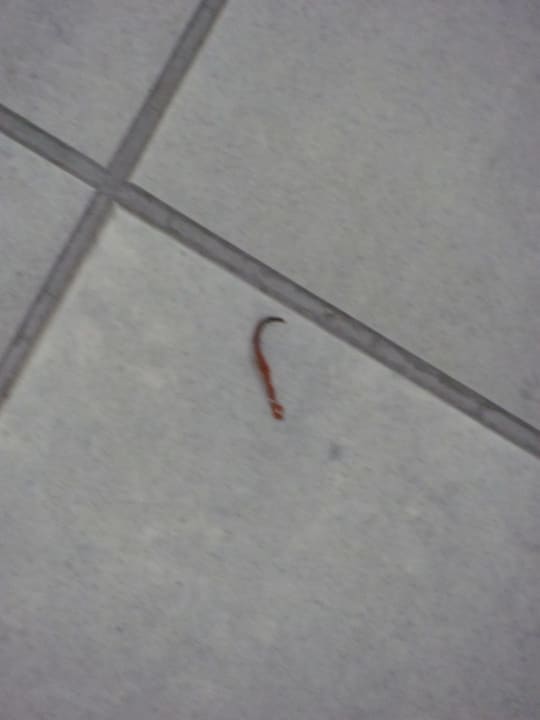 Zimmer Boden Aregai Marina Hotel & Residence