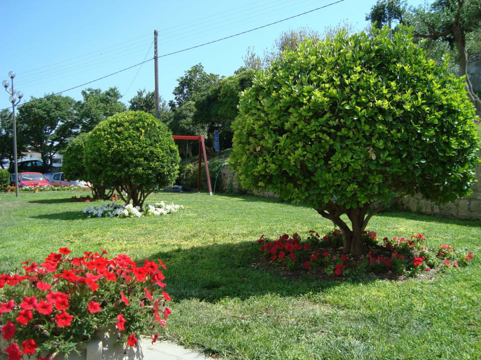 Территория отеля Ammon Zeus Luxury Beach Hotel