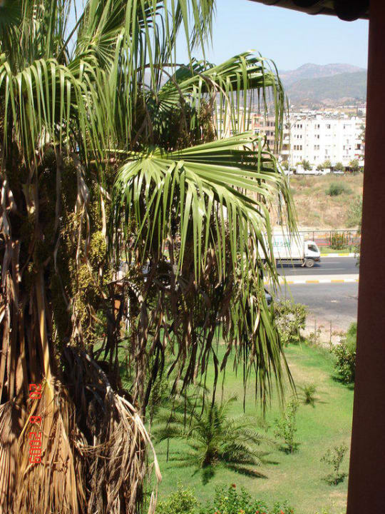 Ausblick von Treppenhaus Club Turtas Beach Hotel