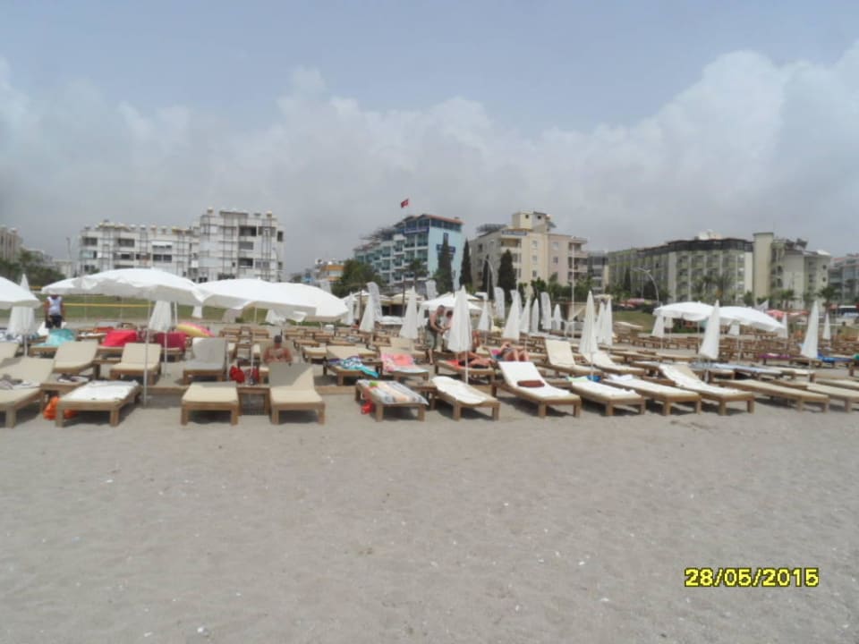 Frontal Blue Diamond Alya