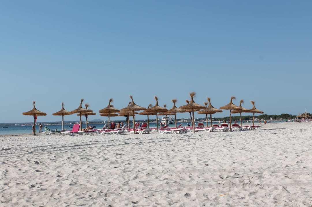 % Min. zu Fuß !!! Bahía de Alcúdia Hotel & Spa