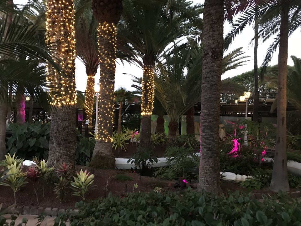 Gartenanlage Hotel Parque Tropical