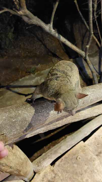 Sonstiges Neptune Village Beach Resort & Spa