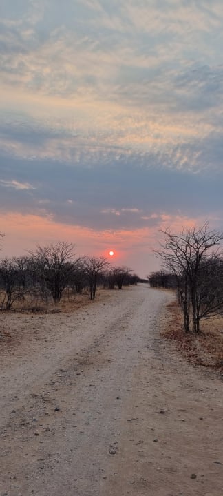 Ausblick Etosha Village