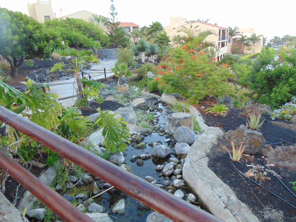 Zródełko La Palma Princess