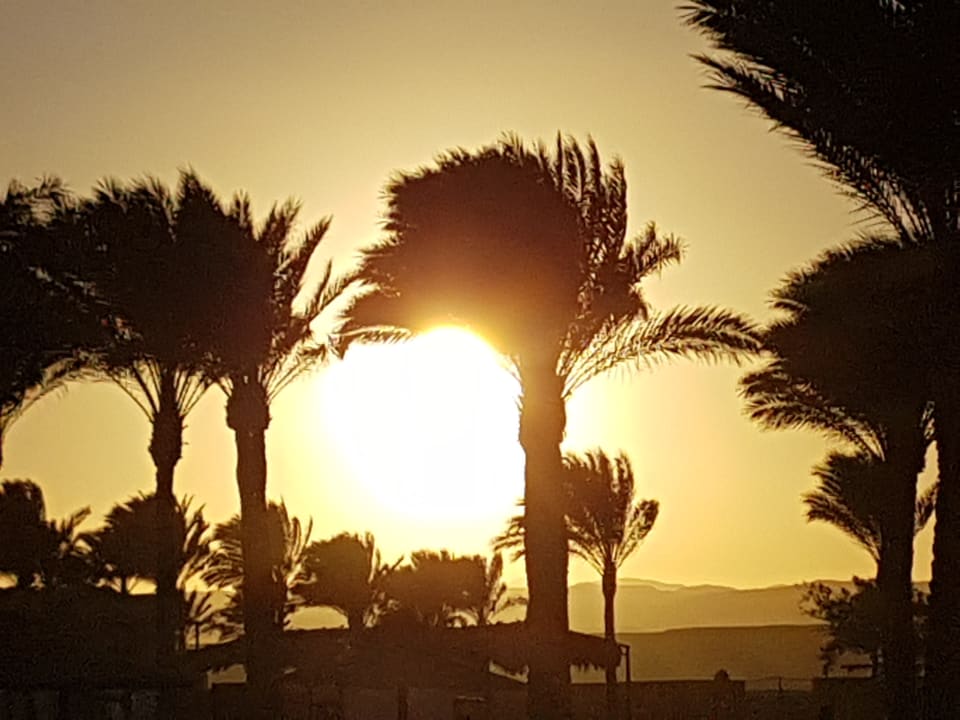 Ausblick Jaz Dar EL Madina